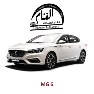 فرش تفصيل مجسم كمبيوتر ( Corel Drow ) MG 6