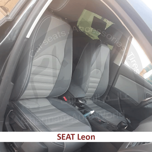 77521323_02 77521323_02