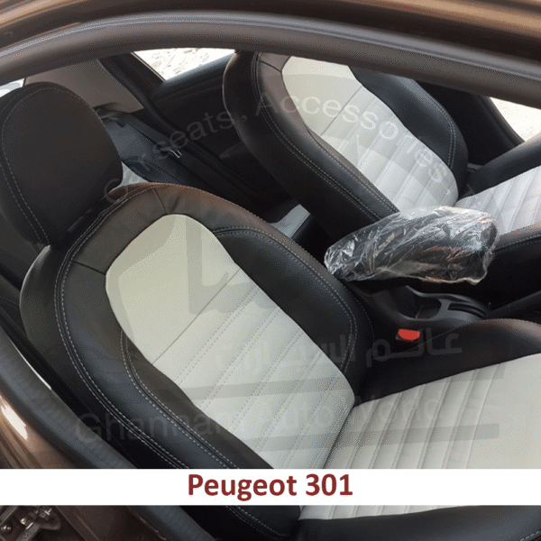 77521339_01 77521339_01