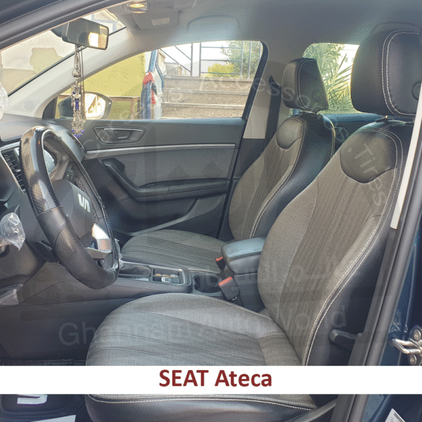 77521371_1 77521371_1