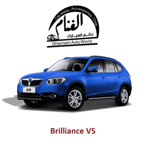 فرش تفصيل مجسم كمبيوتر ( Corel Drow )   Brilliance V5