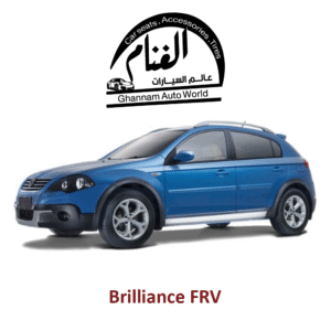 فرش تفصيل مجسم كمبيوتر ( Corel Drow )   Brilliance FRV