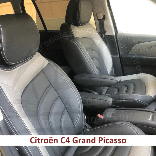 77521389_01 77521389_01