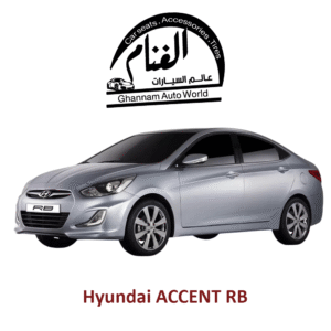 فرش تفصيل مجسم كمبيوتر ( Corel Drow ) Hyundai ACCENT RB
