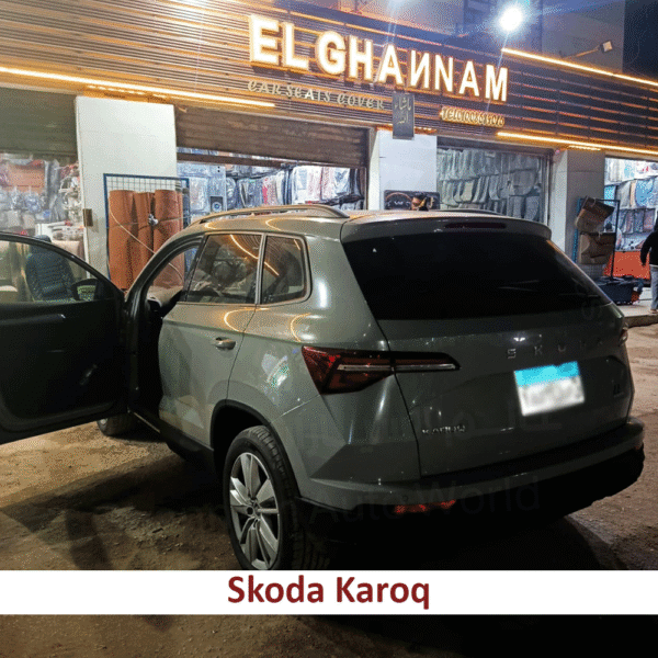 77521343_04 77521343_04