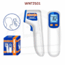 WNT2501_01